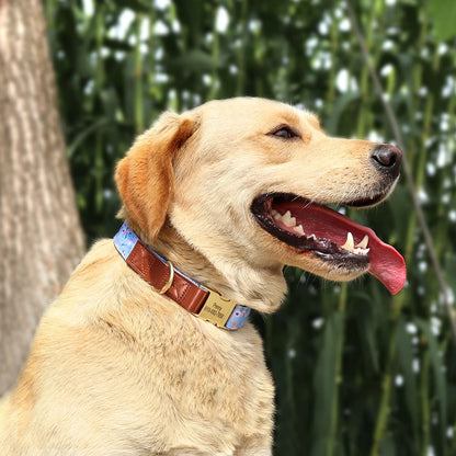 Custom Engraved Dog Collar - Personalized Flower Print Pet ID Collar