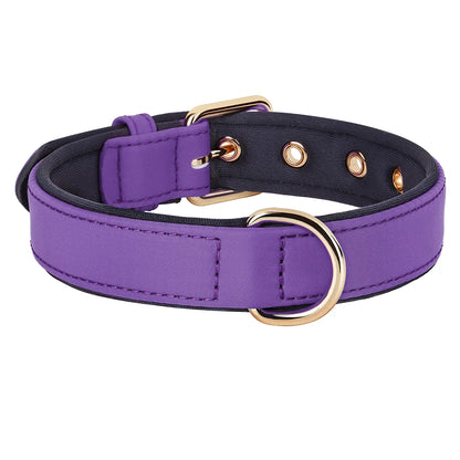 Waterproof Dog Collar - Durable Nylon with Soft Padding PURPLE