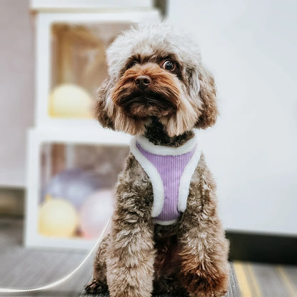 Winter Dog Harness Leash Set - Soft Plush Vest for Small Dogs