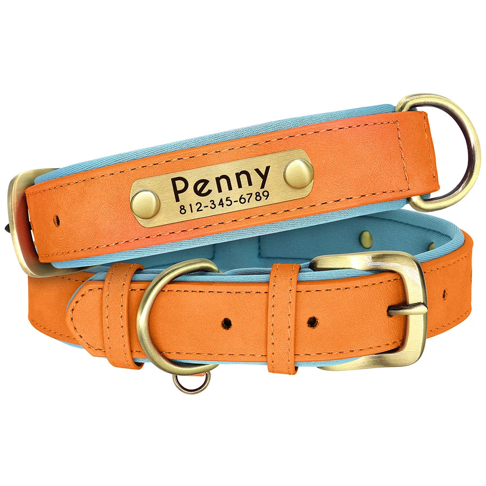 Personalized PU Leather Dog Collar with Free Engraving - Soft Padded Orange