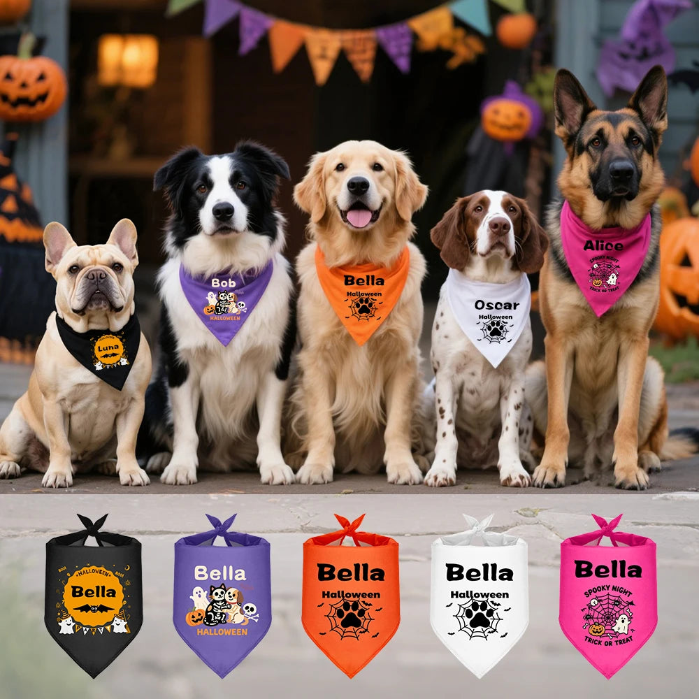 Reflective Dog Collar & Leash Set with Custom Engraved ID Tag