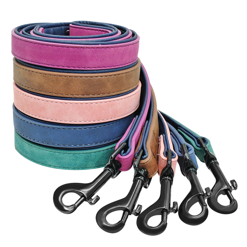 Personalized Dog Collar & Leash Set - Custom Engraved Pet Accessories