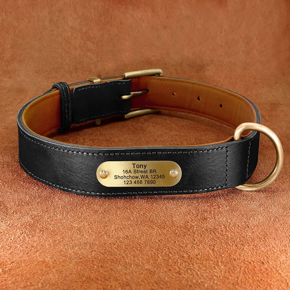 Personalized Leather Dog Collar & Leash Set with Free Engraving Black Collar