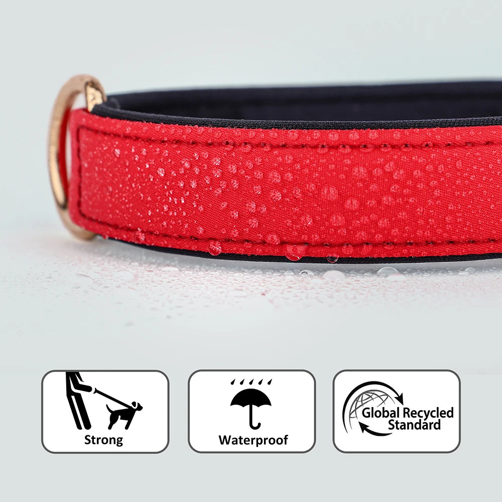 Custom Dog Collar Soft Padded Waterproof Nylon Pet Collar