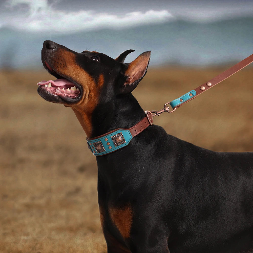 Leather Dog Collar Leash Set Large Dogs - Padded Wide Metal Rivet