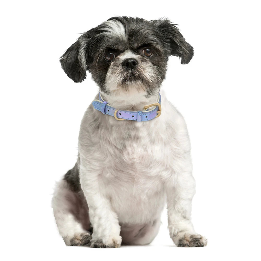 Custom Pet Collar with Personalized Name Tag - Adjustable Leather