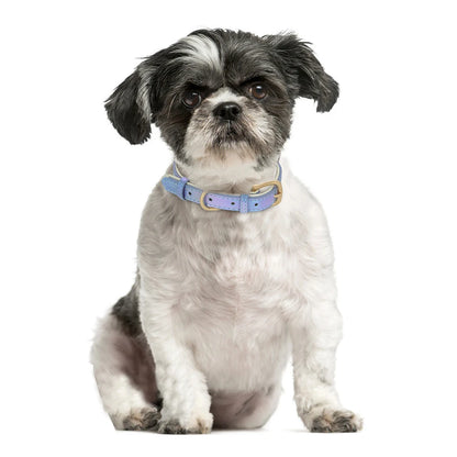 Custom Pet Collar with Personalized Name Tag - Adjustable Leather