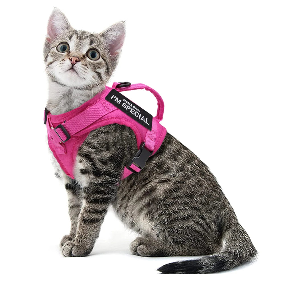 Tactical Cat Harness Vest with Handle - Military Style Nylon