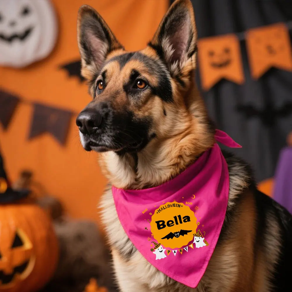 Reflective Dog Collar & Leash Set with Custom Engraved ID Tag