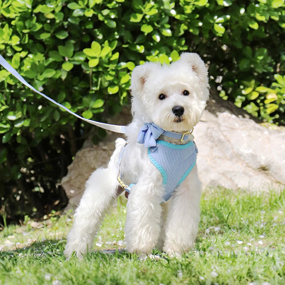Adorable Bowknot Dog Harness Set - Soft Velvet Collar & Leash for Small Dogs