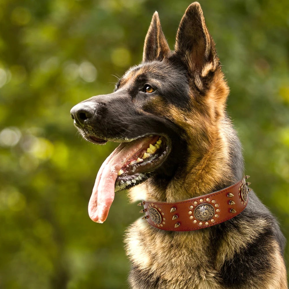 2 Inch Wide Spiked Leather Dog Collar for Large Dogs