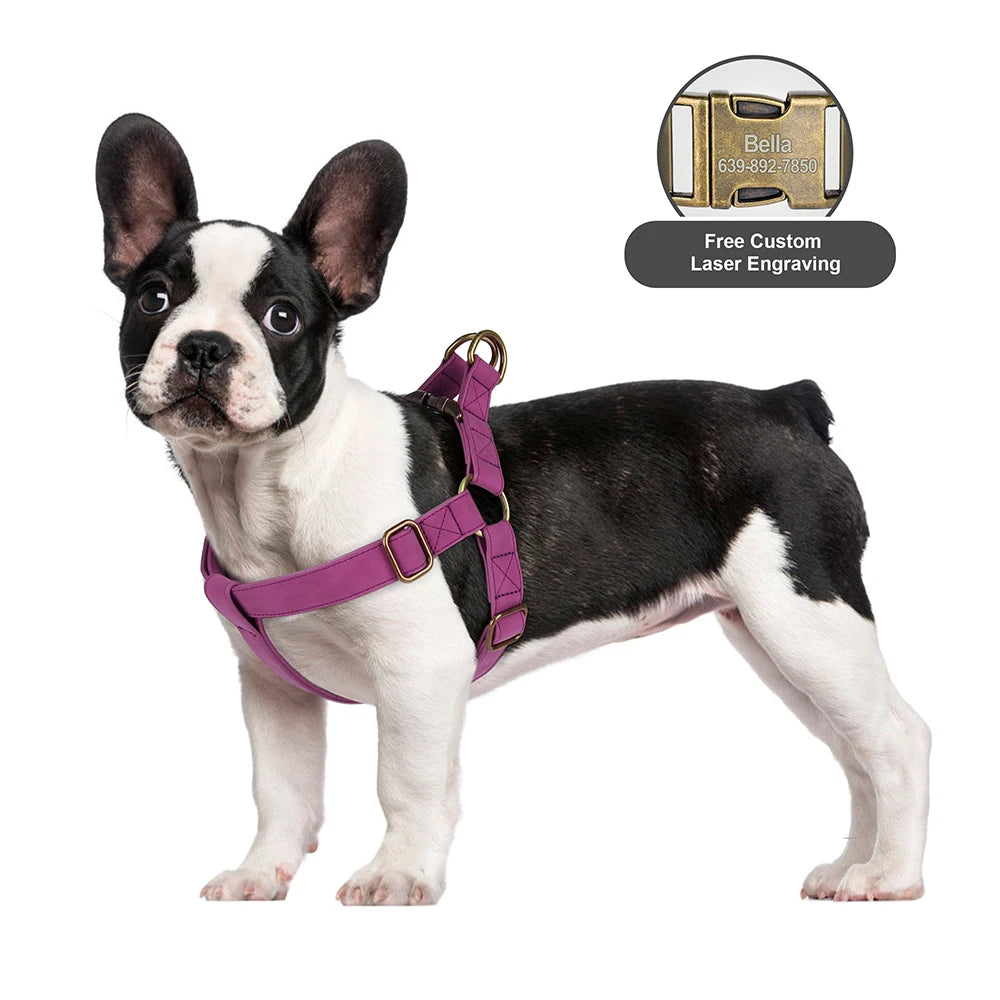 Personalized Dog Harness - Custom Engraved PU Leather Vest