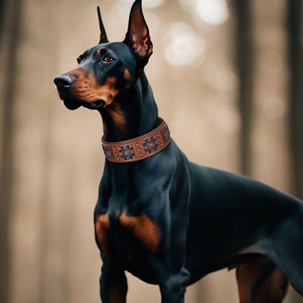 2 Inch Wide Spiked Leather Dog Collar for Large Dogs
