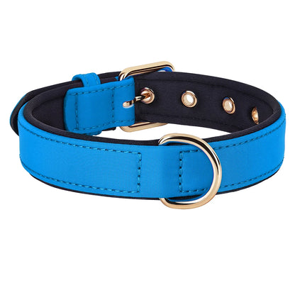 Waterproof Dog Collar - Durable Nylon with Soft Padding Blue
