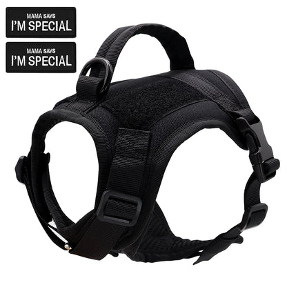 Tactical Cat Harness Vest with Handle - Military Style Nylon Black Free Size