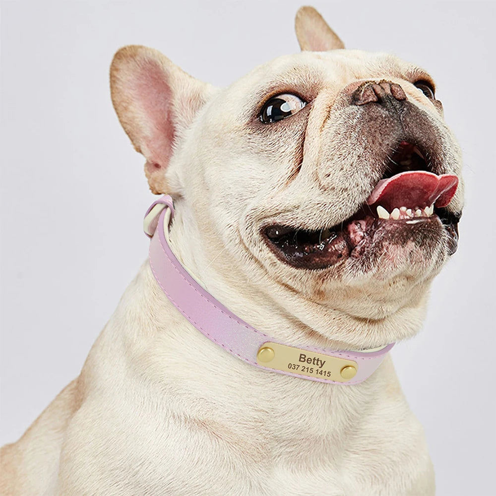 Custom Pet Collar with Personalized Name Tag - Adjustable Leather