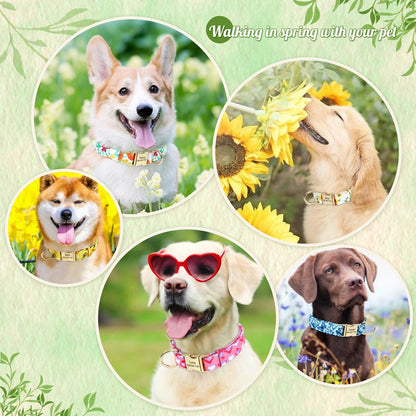 Custom Floral Dog Collar with Free Nameplate - Personalized Pet ID