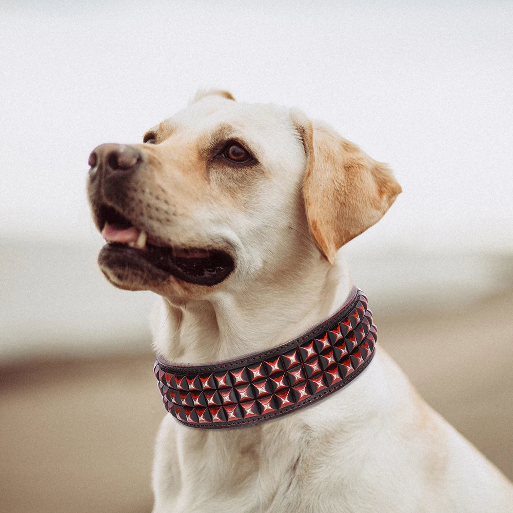 2 Inch Wide Leather Dog Collar with Spikes for Large Dogs