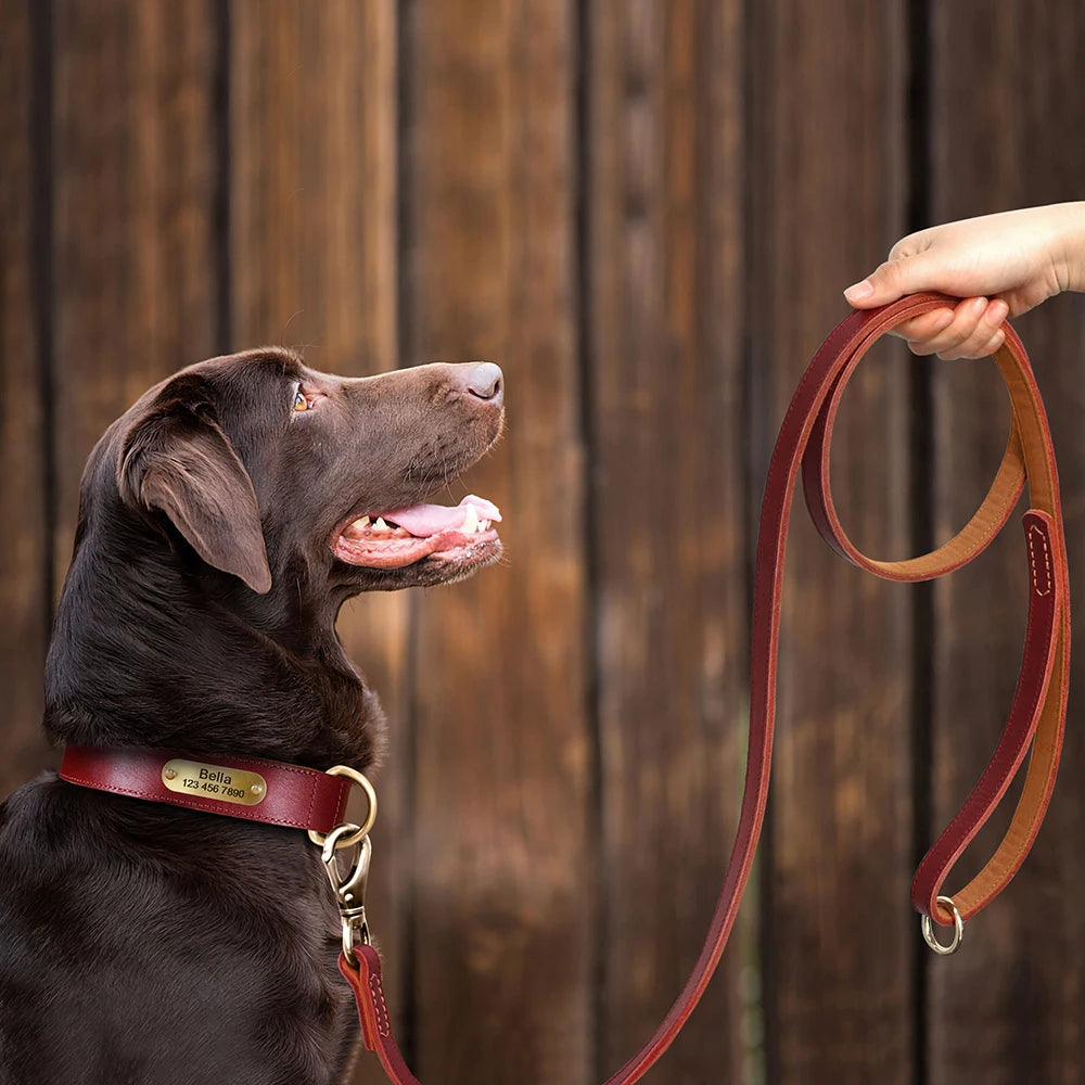 Personalized Leather Dog Collar & Leash Set with Free Engraving