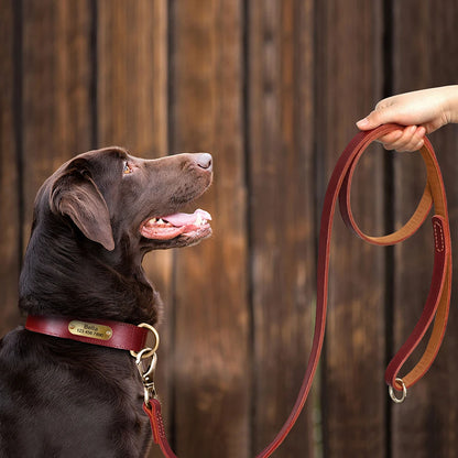 Personalized Leather Dog Collar & Leash Set with Free Engraving