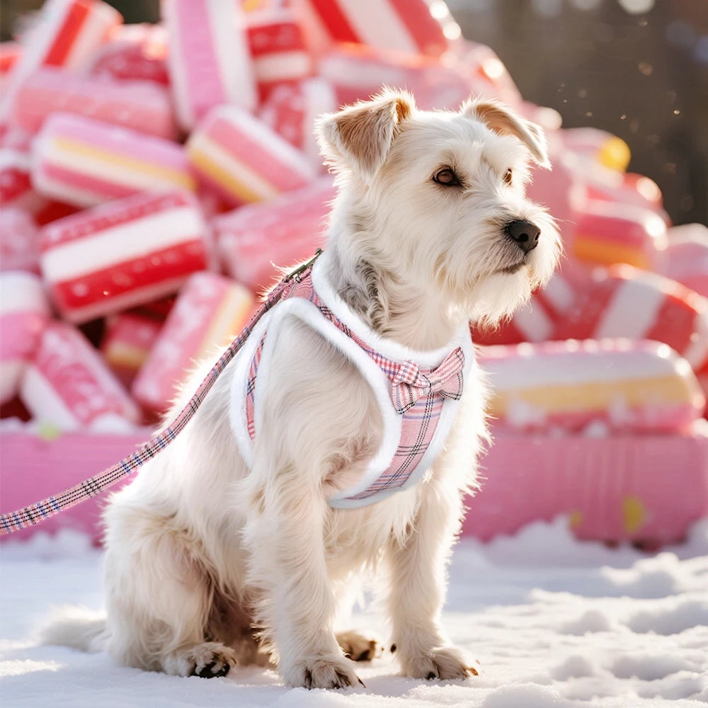 Winter Dog Harness & Leash Set - Warm Fur Vest with Bowknot