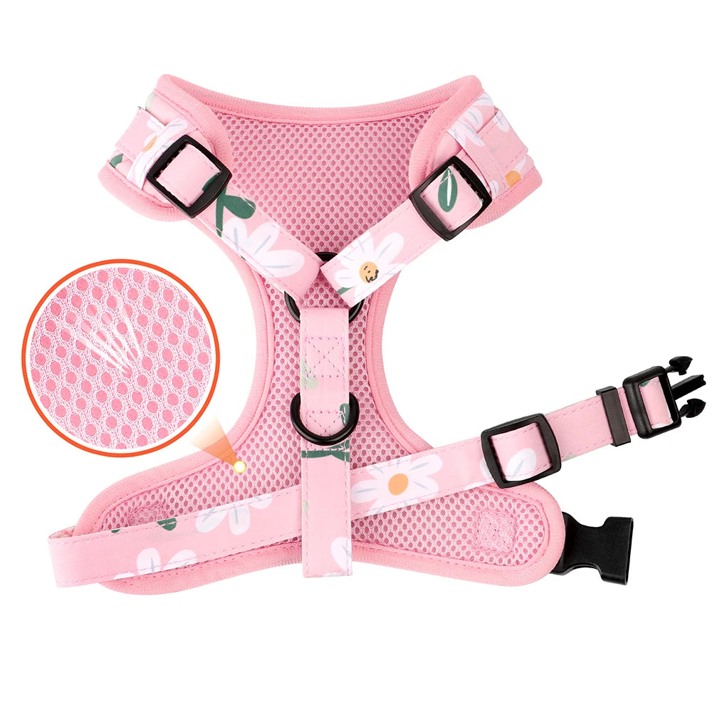 Custom Dog Collar Harness Set - Personalized Floral Pet Kit