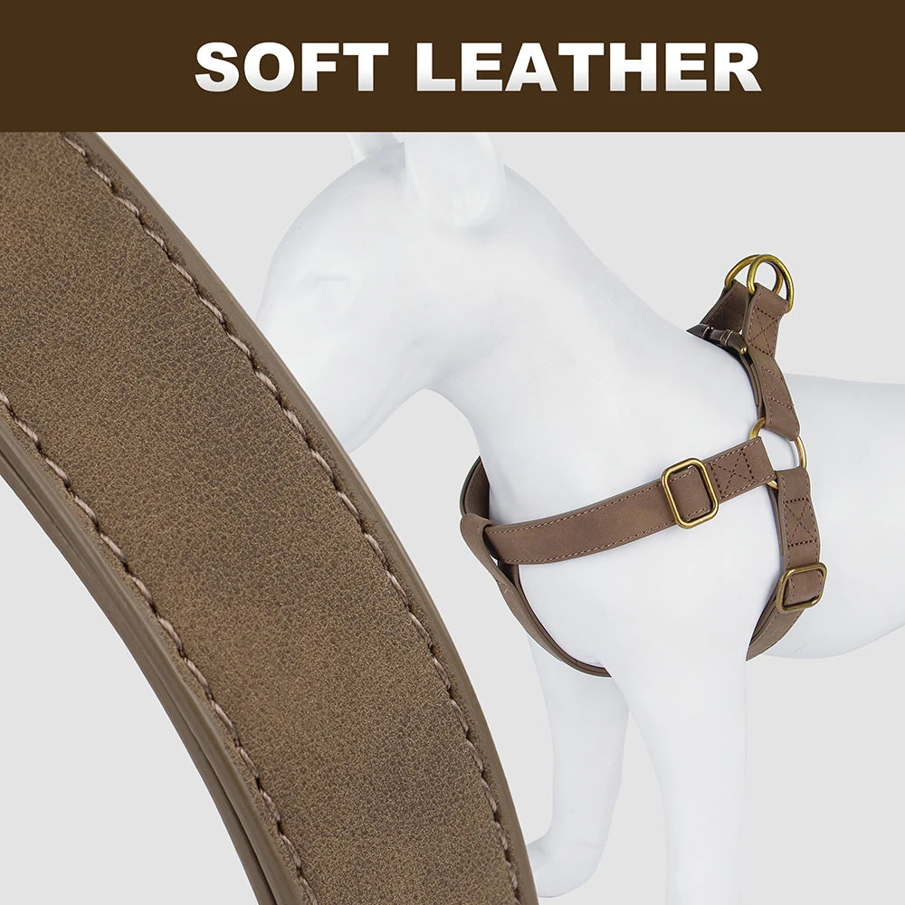 Personalized Dog Harness - Custom Engraved PU Leather Vest