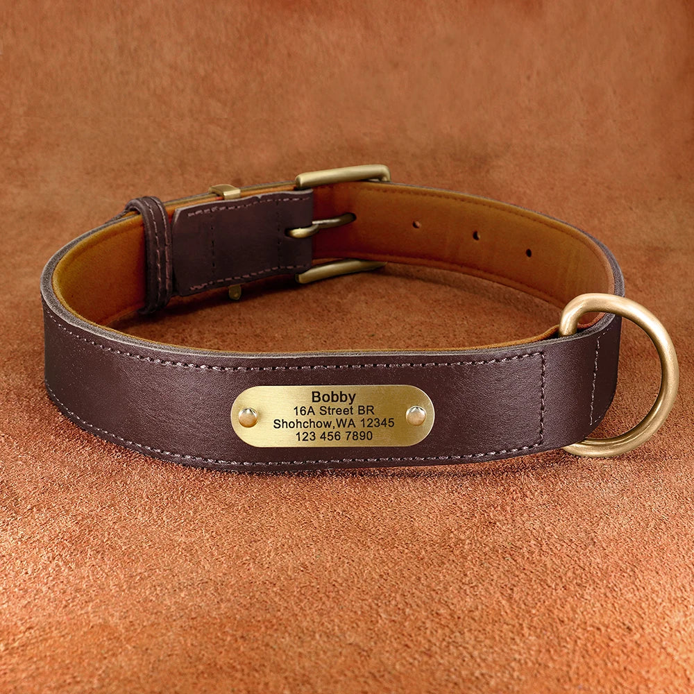 Personalized Leather Dog Collar & Leash Set with Free Engraving Brown Collar
