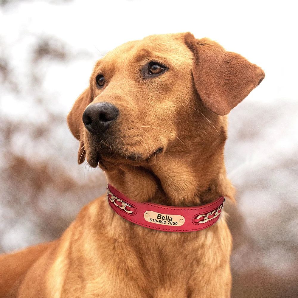 Personalized Leather Dog Collar with Name Tag - Custom ID Collar