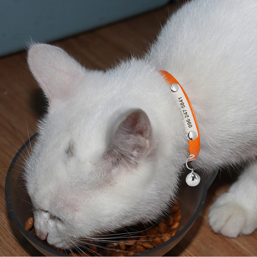 Personalized Leather Cat Collar with Bell - Custom Engraved Pet ID