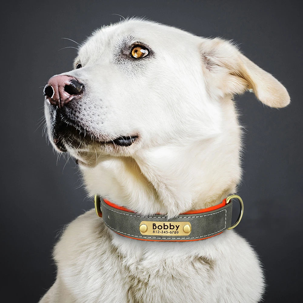 Personalized PU Leather Dog Collar with Free Engraving - Soft Padded