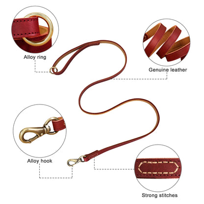 Personalized Leather Dog Collar & Leash Set with Free Engraving