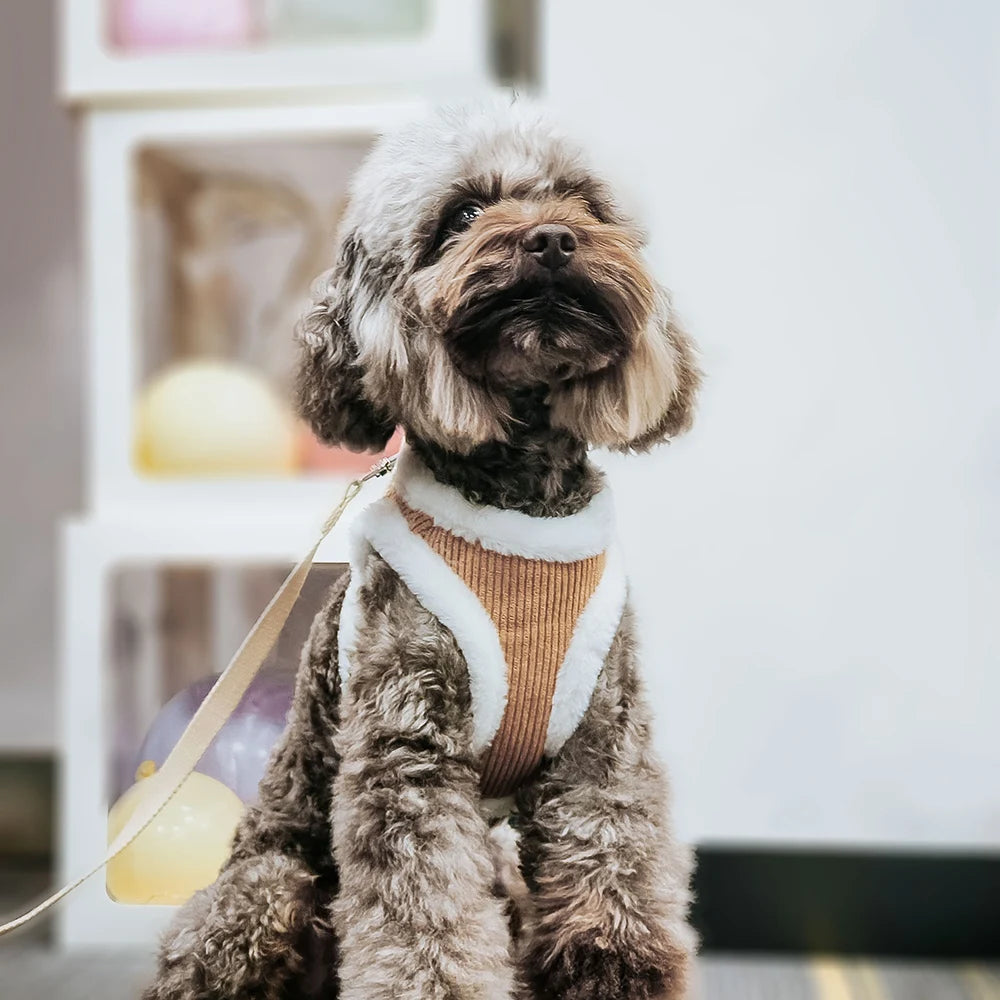 Winter Dog Harness Leash Set - Soft Plush Vest for Small Dogs