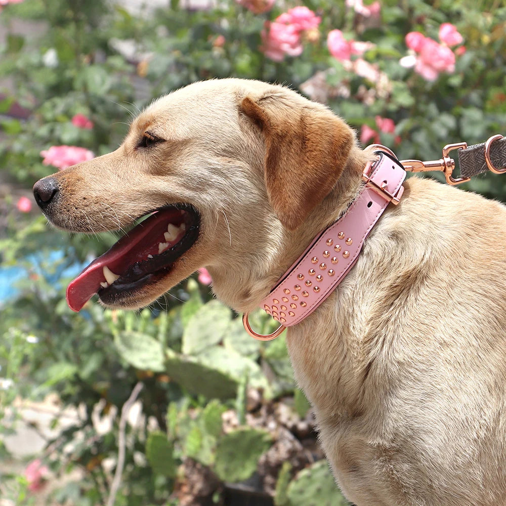 Spiked Leather Dog Collar - Adjustable Metal Rivet Pet Accessory