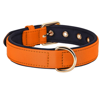 Waterproof Dog Collar - Durable Nylon with Soft Padding Orange