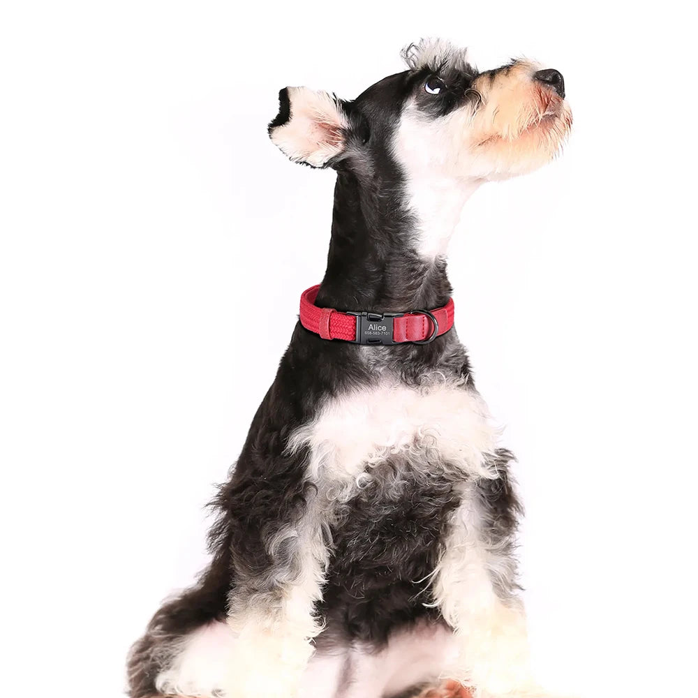 Custom Engraved Dog Collar - Durable Nylon Pet ID Collar