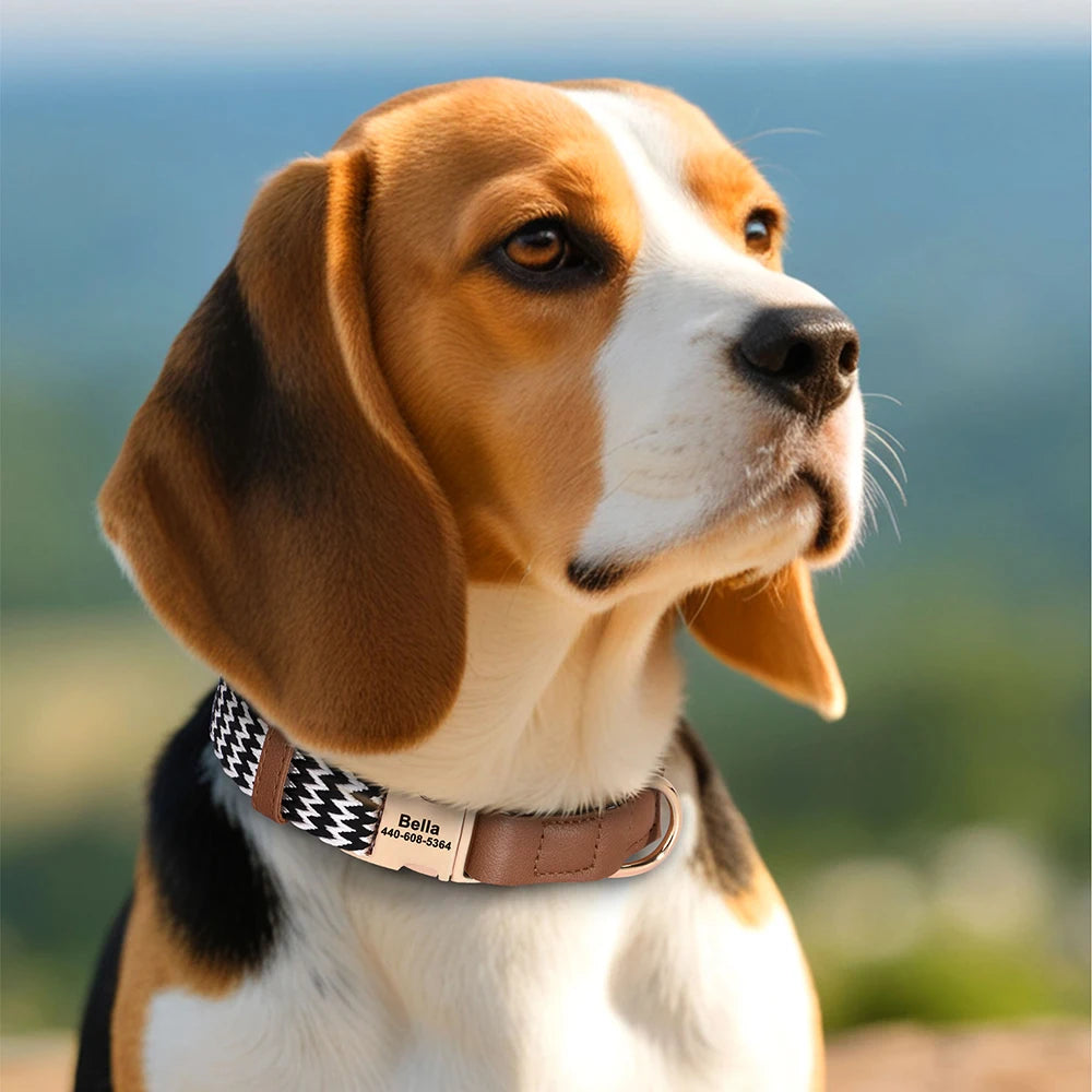 Custom Dog Collar with ID Tag - Personalized Nylon Leather Pet