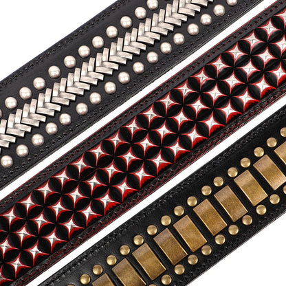 2 Inch Wide Leather Dog Collar with Spikes for Large Dogs