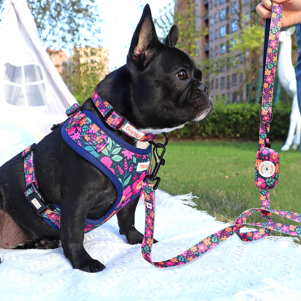 Dog Harness and Leash Set with Waste Bag Dispenser - Mesh Vest