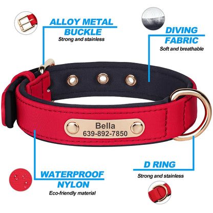 Custom Dog Collar Soft Padded Waterproof Nylon Pet Collar