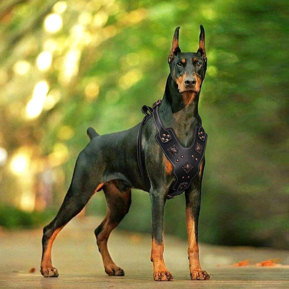 Genuine Leather Dog Harness Large Dogs - Durable Training Vest Metal