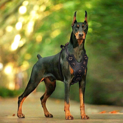 Genuine Leather Dog Harness Large Dogs - Durable Training Vest Metal